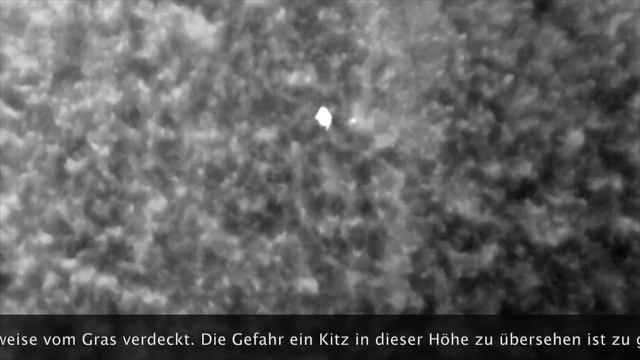 Kitzsuche per Drohne Flir Vue Pro 640 in 70 Meter Höhe. смотреть онлайн
