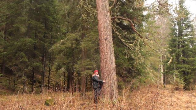 Шарипова Гузель - Весенний сплав по Б. Инзеру смотреть онлайн