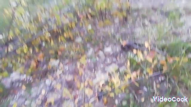 кирпичный завод,Вельский лес часть 1 смотреть онлайн