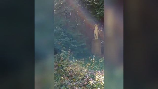 Умань/ парк Новая Софиевка/ экскурсия смотреть онлайн