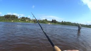 9 ЛЕТ ТАКИХ НЕ ЛОВИЛ! Трофейный голавль на перекате. Июнь 2023 раздает! Голавль на спиннинг в июне