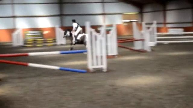 Horse World Showjumping смотреть онлайн