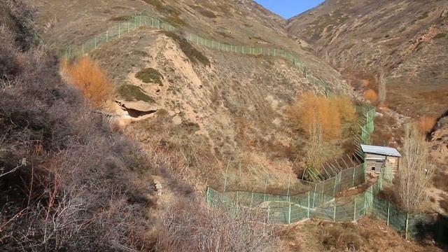 РЦ "Снежный барс". Ассоциация "NABU". Кыргызстан смотреть онлайн