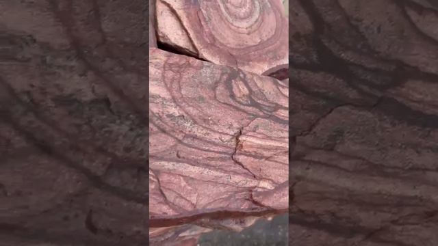Видео 1 смотреть онлайн