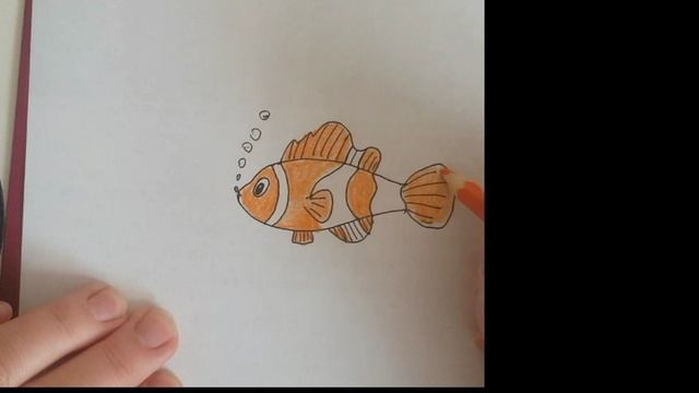 Как нарисовать рыбу клоуна и рыбу ежа, легко и просто смотреть онлайн