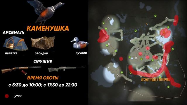 The Hunter Call Of The Wild ? | Охота на ВСЕХ ПТИЦ
