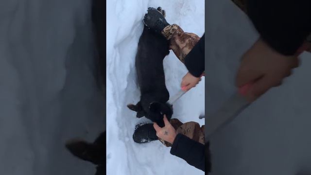 Ну заяц, погоди смотреть онлайн