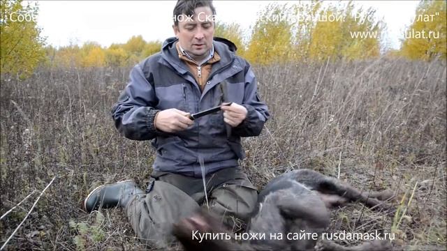 Собака породы дратхаар и нож "Скандинавский большой" смотреть онлайн