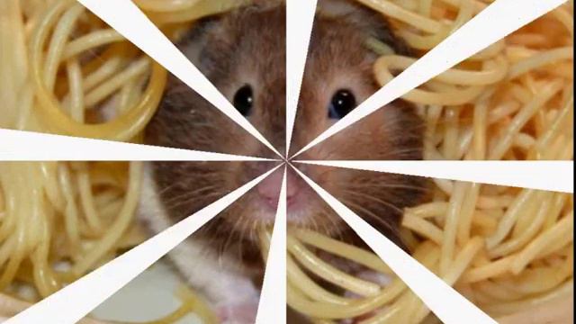 Привет, Дружище!.mp4 смотреть онлайн