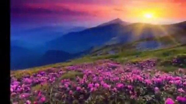 Иначе зачем я на земле живу