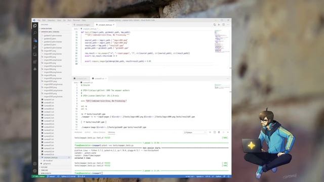 unpaper with Meson — pytesting our way out смотреть онлайн