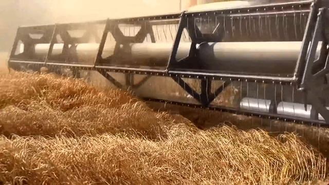 В каких регионах легче выжить в постапокалипсис? смотреть онлайн