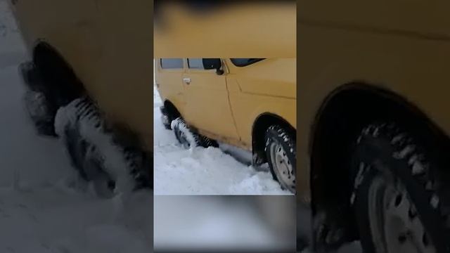 #Shorts.попали в норку сурка на нивасе смотреть онлайн