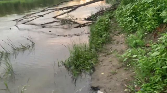 #42 #мормышинг | Щука на мормышку | Бель на мормышку | Прогулка по берегу | смотреть онлайн