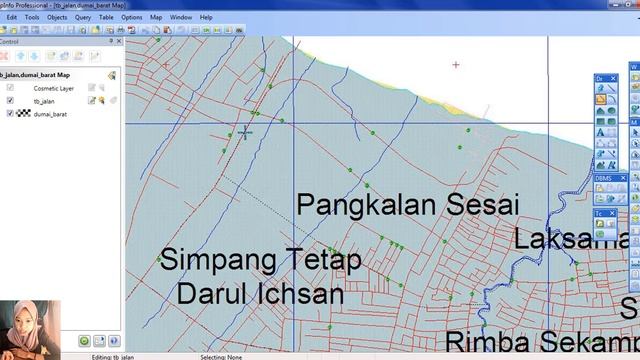 Tutorial Belajar Mapinfo Professional смотреть онлайн