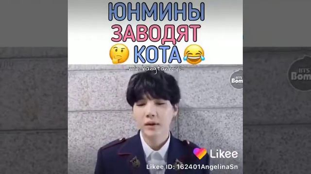 Юнмины заводят кота😆 смотреть онлайн