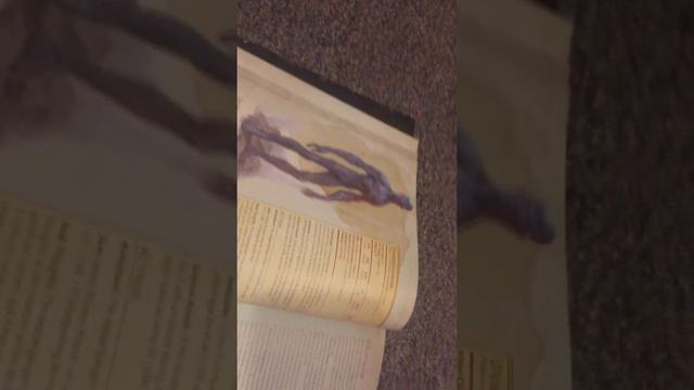 I ramble at the DnD monster manual pt2 смотреть онлайн