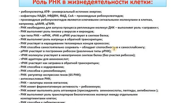 3  Характеристики РНК