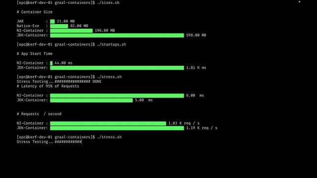 GraalVM Native Image for Containerised Applications смотреть онлайн