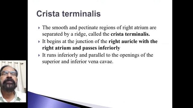 5. External and internal features of chambers of heart смотреть онлайн