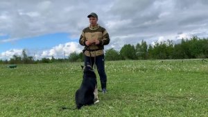 Дрессировка щенка с нуля (День 2)