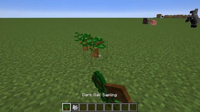 Minecraft Tutorial - How To Grow Dark Oak Trees EASY...