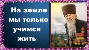 На земле мы только учимся жить  — протоиерей Валентин Бирюков