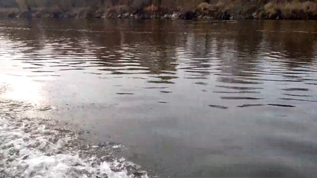 VID 20181103 152315 смотреть онлайн