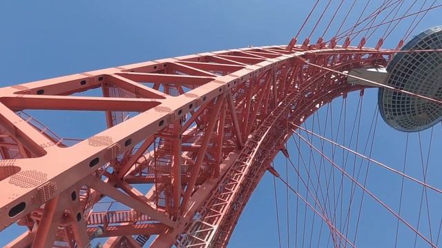 Сплав на сапах в Москве (Строгино 2022)