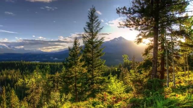 Главное, что требуется от человека. Преподобный Варсонофий Оптинский. смотреть онлайн