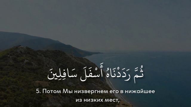 Сура 95 "Ат-Тин" (Смоковница). Али Якупов. سورة التين - القارئ علي يعقوب смотреть онлайн