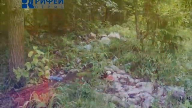 Внимание опасность  Лесные пожары