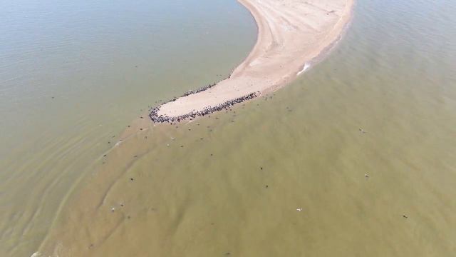 Как "ходят" острова смотреть онлайн