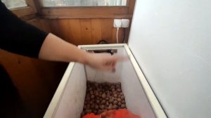 Погребок(термоконтейнер) для сохранения урожая. Если у Вас нет погреба на даче