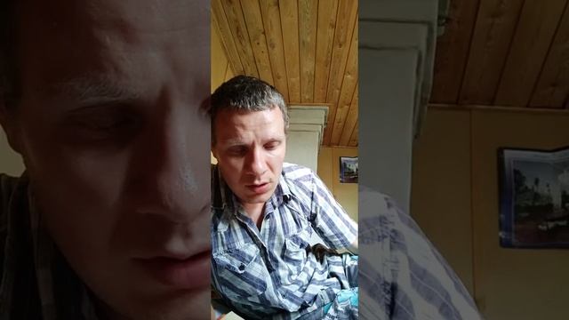 Белорусская сказка "Музыка-чародейник"/сундучок сокровищ смотреть онлайн