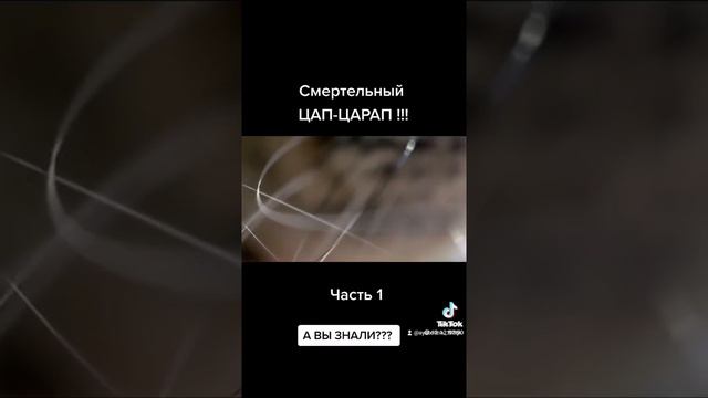 я столько не знал про них.. смотреть онлайн