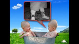 Песни со смыслом. "БЛИЗНЕЦЫ" - Светлана Копылова