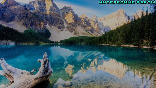 ✔️ИНТЕРЕСНЫЕ ФАКТЫ О КАНАДЕ, КОТОРЫЕ ИЗМЕНЯТ ВАШЕ ОТНОШЕНИЕ В ЭТОЙ СТРАНЕ! смотреть онлайн