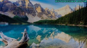 ✔️ИНТЕРЕСНЫЕ ФАКТЫ О КАНАДЕ, КОТОРЫЕ ИЗМЕНЯТ ВАШЕ ОТНОШЕНИЕ В ЭТОЙ СТРАНЕ!