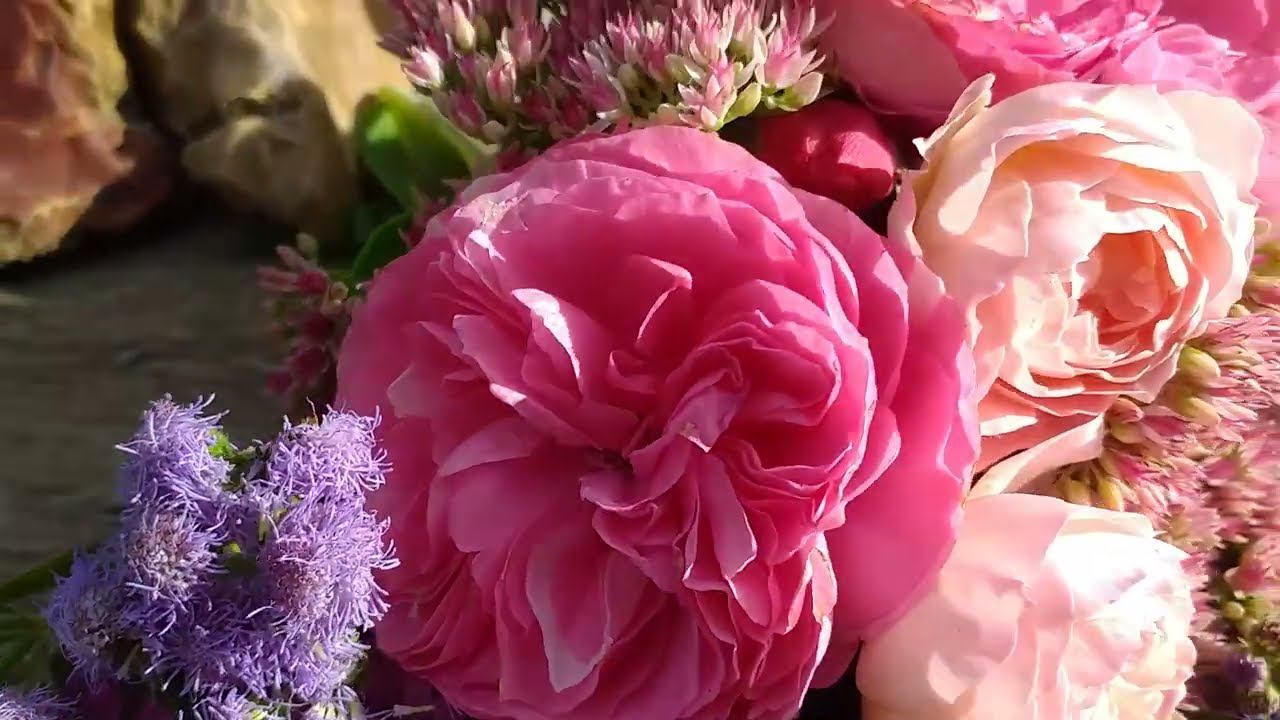 Сочетания.. Баронесса и Пастелла. Как вам? смотреть онлайн