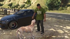 ЧТО СЛУЧИЛОСЬ С СОБАКОЙ МАЙКЛА В GTA V