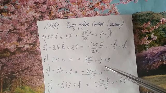 1154 математика 6 класс. Тема деление чисел с разными знаками смотреть онлайн