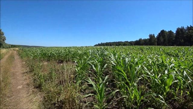 Озеры — Коломна. Одиночный поход с ночевкой! смотреть онлайн