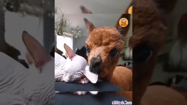 Учи тучи смотреть онлайн