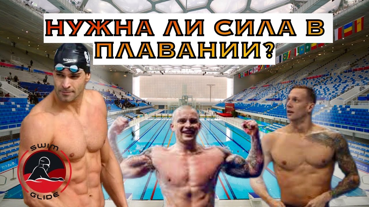 Нужно ли ПЛОВЦУ качаться в тренажерном зале? смотреть онлайн