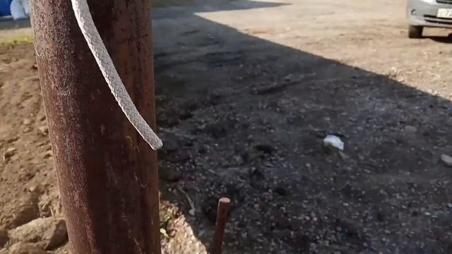Забор на арматуре смотреть онлайн