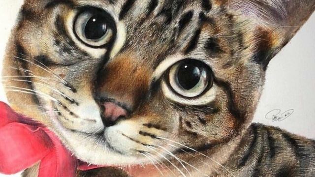 Художник Хакуро Кудо. Животные в стиле гиперреализма. смотреть онлайн