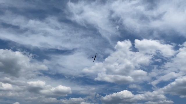 Prestige 2PK von Samba Model смотреть онлайн