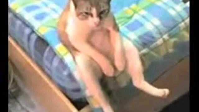 Котяра в депрессии смотреть онлайн