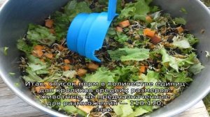 Чем кормить кроликов в домашних условиях для начинающих